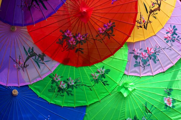 Beaux parapluies chinois avec des fleurs