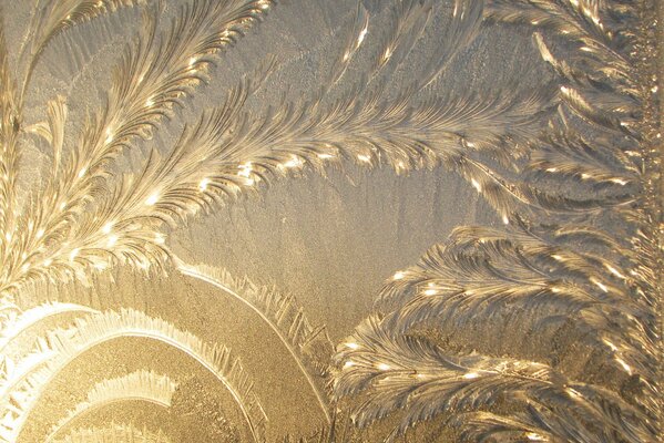 Frost malt ein ausgefallenes Muster auf das Glas