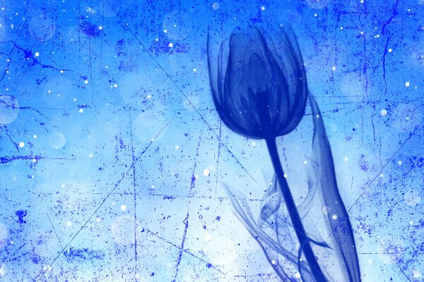 Blue tulip on a blue background with strokes