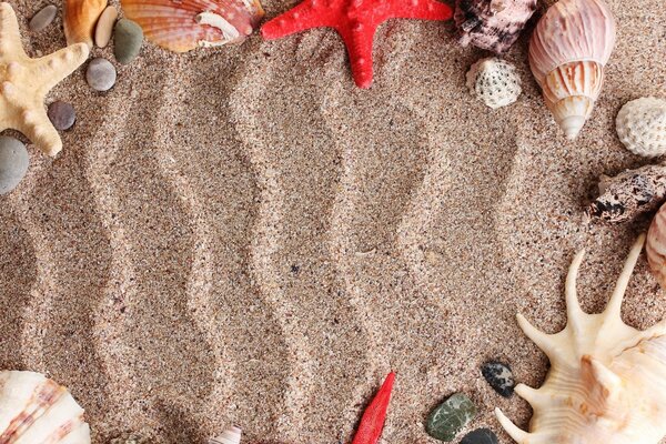 Sand pattern with seashells and starfish