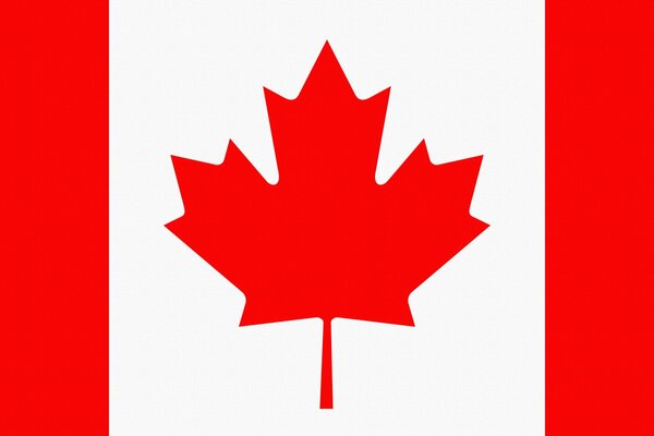 Bandera de Canadá con hoja de arce