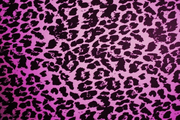 Helle Textur des rosa Leoparden