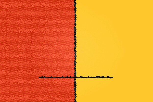 Intersecting yellow and orange colors separated by a black stripe of cells