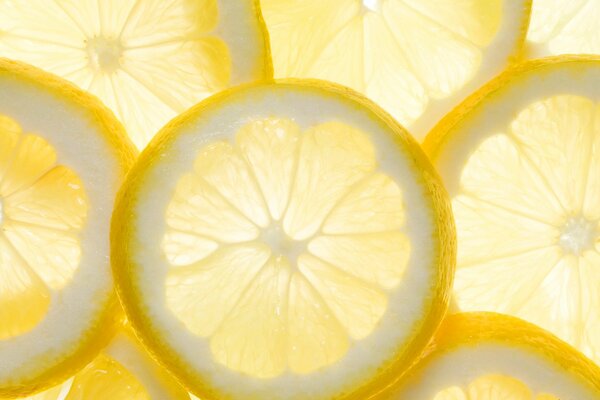 Fette di limone su sfondo trasparente