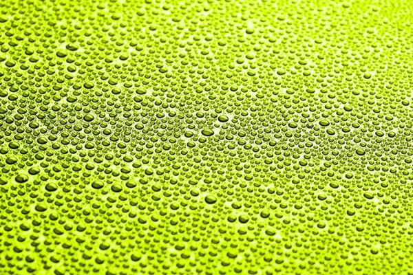 Gotas de agua sobre fondo verde