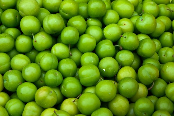 Lots of green apples on the background