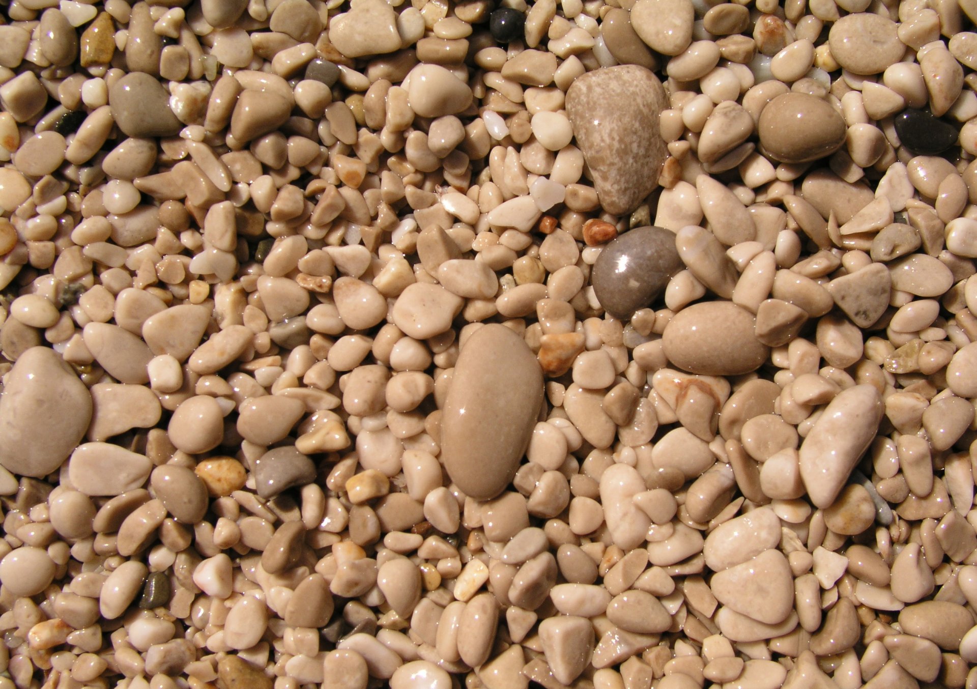 texture pebbles textures tiny pebbles desktop background