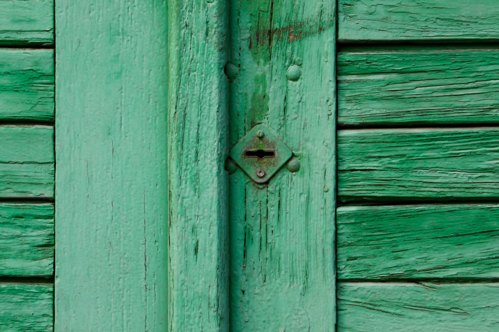 modello parete porte verde