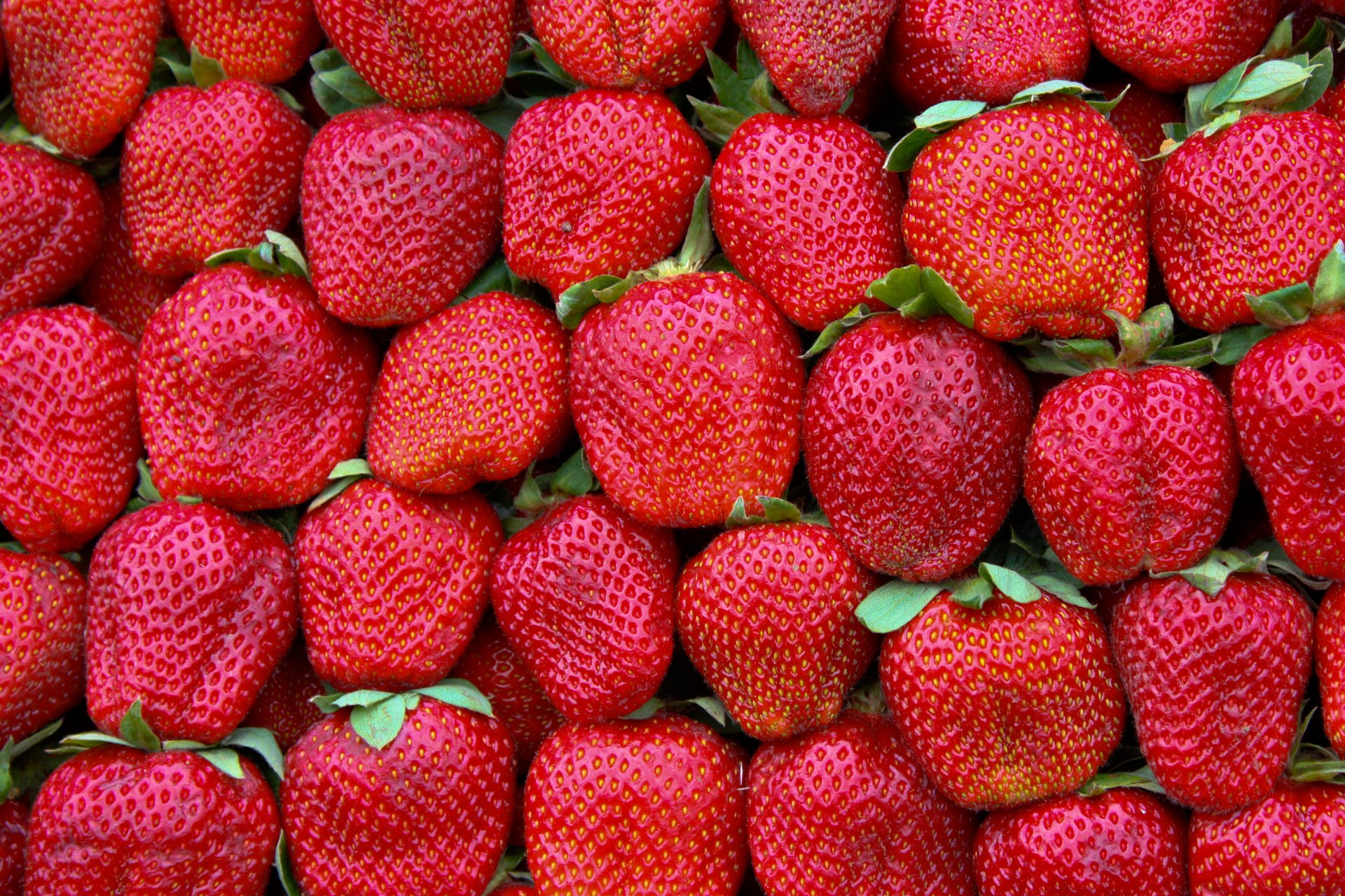 trawberries red green pattern