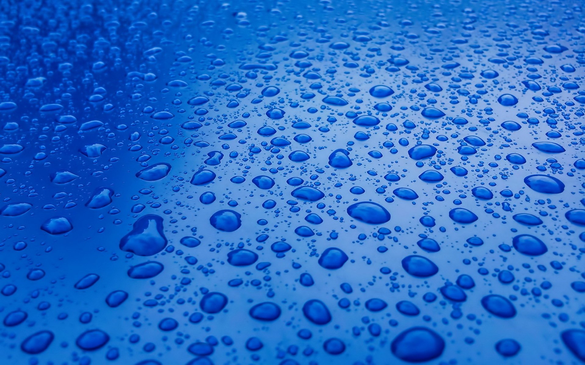 urface blue drops water