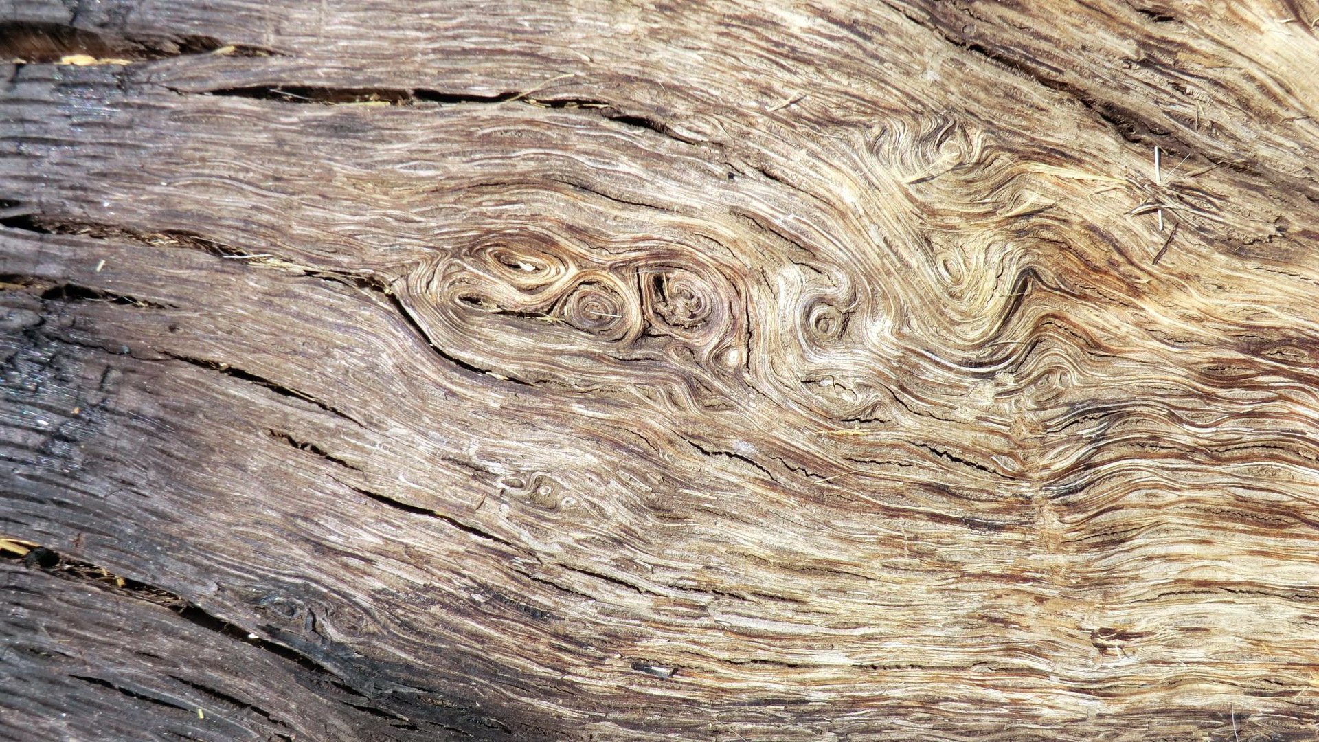 texture astratto legno