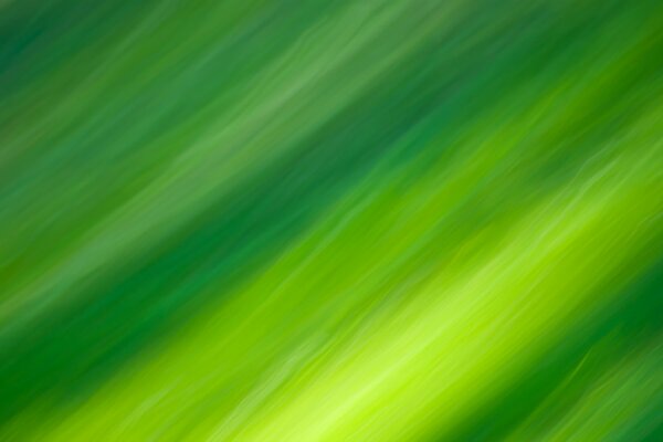 Líneas manchadas de verde. Abstracción