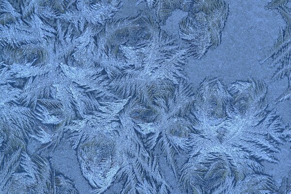 Frosty pattern of snowflakes