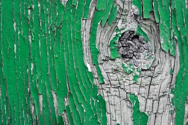 A tree painted with green paint in winter is an imitation of spring