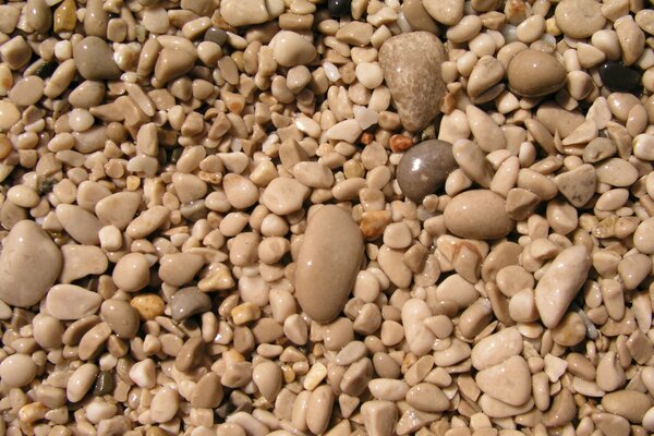 Pequeñas piedras en el escenario mundial