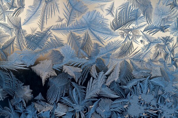 Frost cubrió el patrón de vidrio