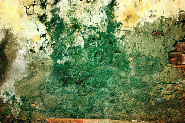 Zielona ściana z niezrozumiałym obrazem