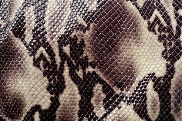 Snake skin coloring texture is the most common animal texture