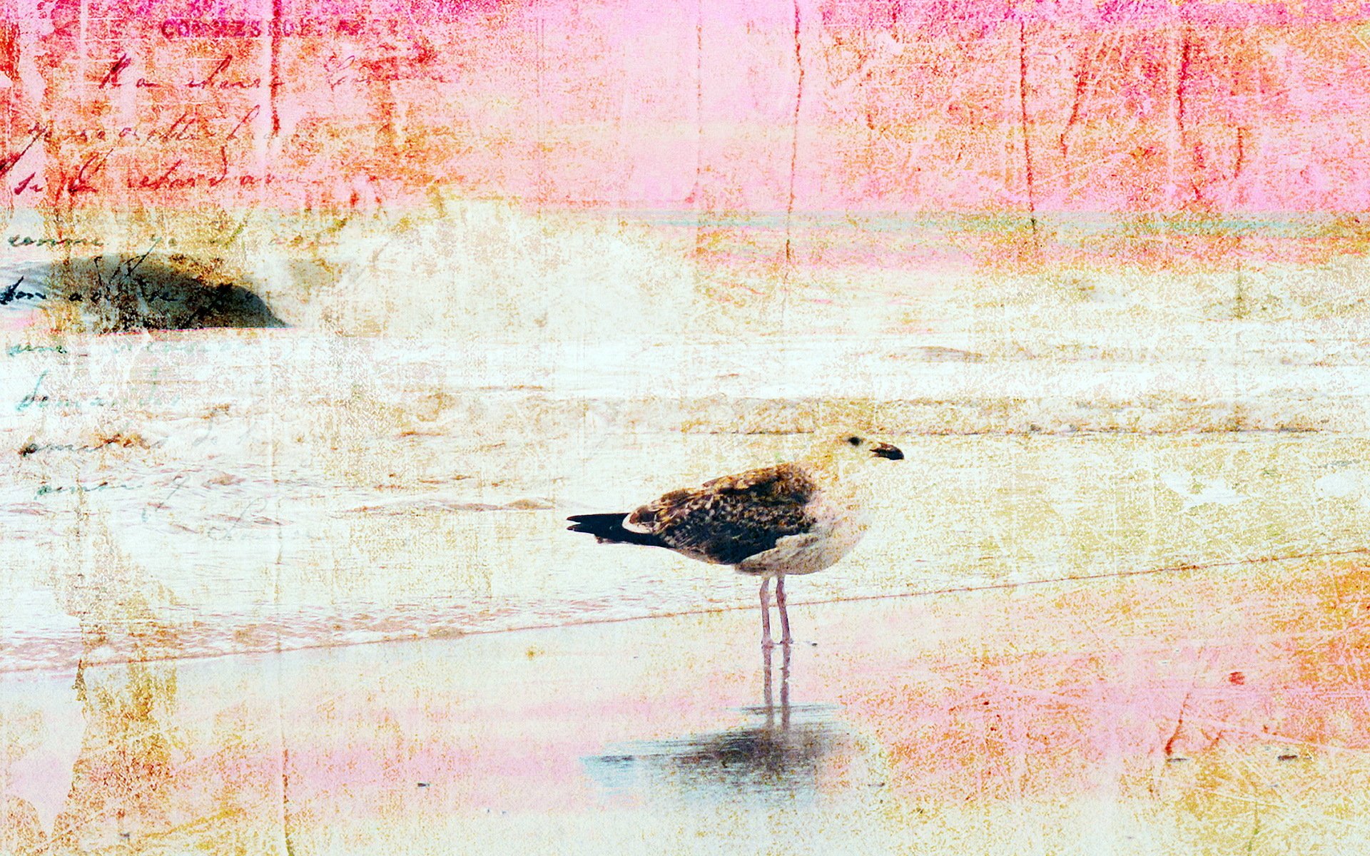 uccello sfondo stile texture