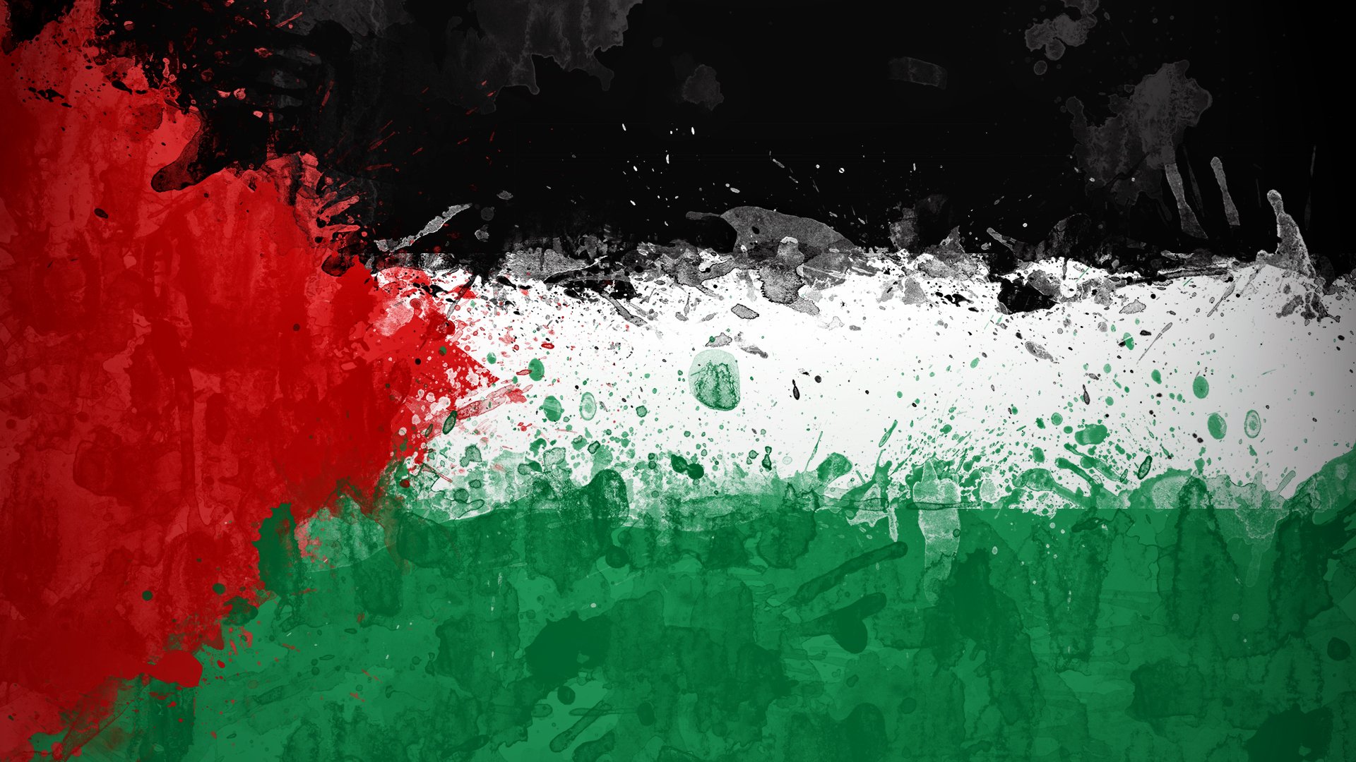 palestina bandera pintura