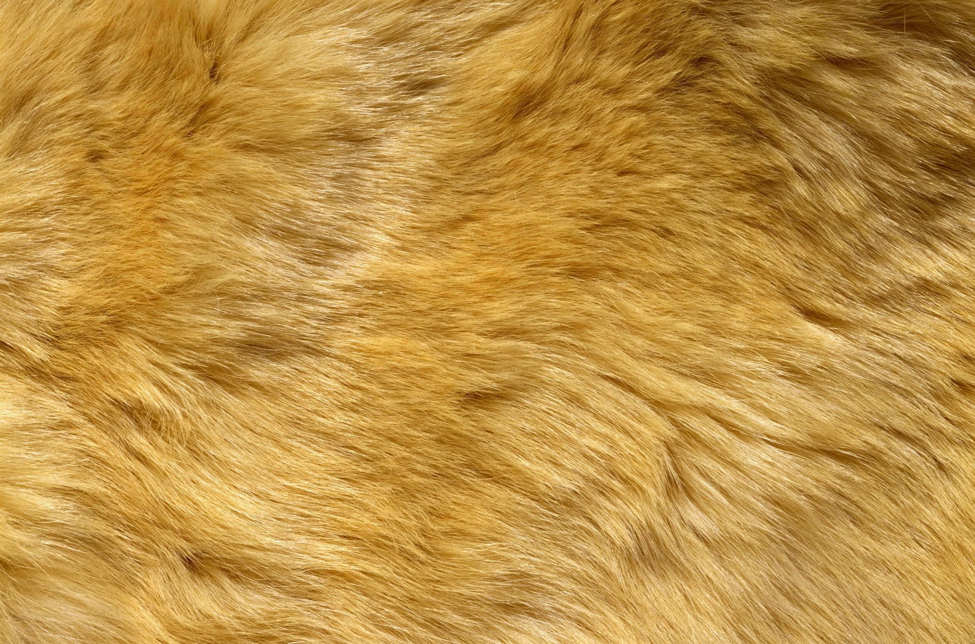 textura piel textura animal fondo de trabajo
