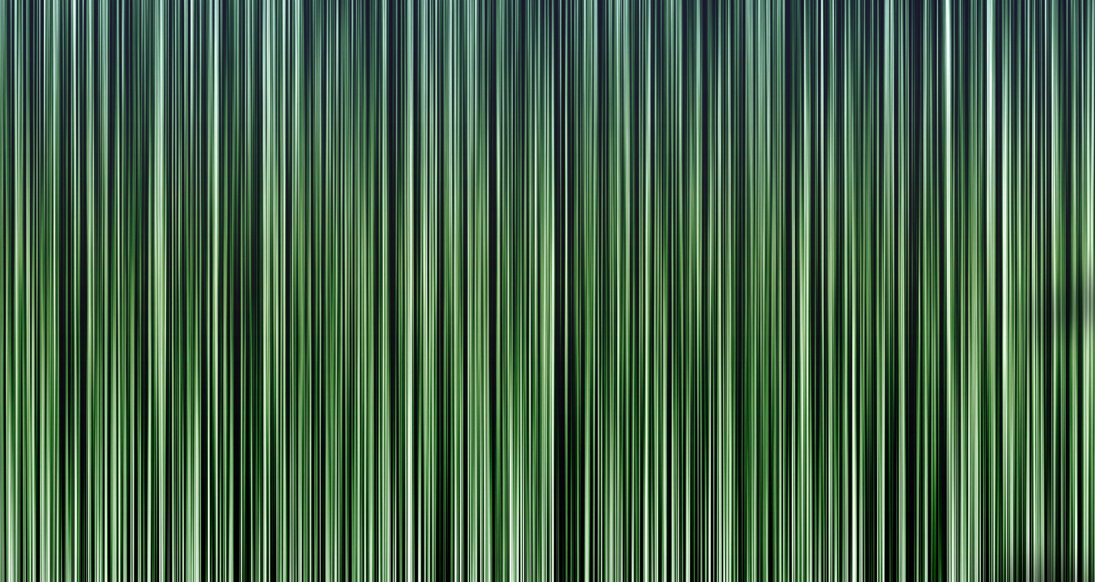 tripes lines greenery textures texture stripes background