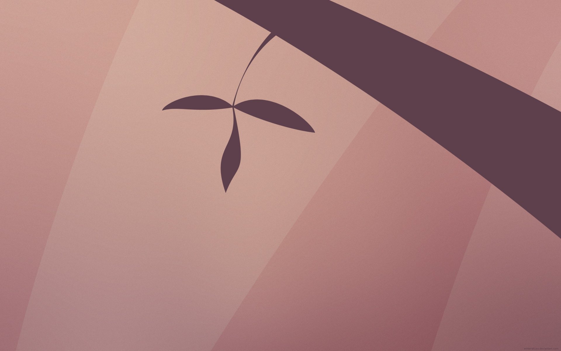 texture feuilles feuille arbre branche rose violet