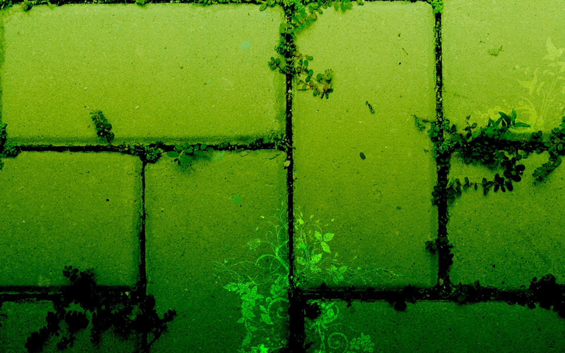 textura verde crecimiento arte