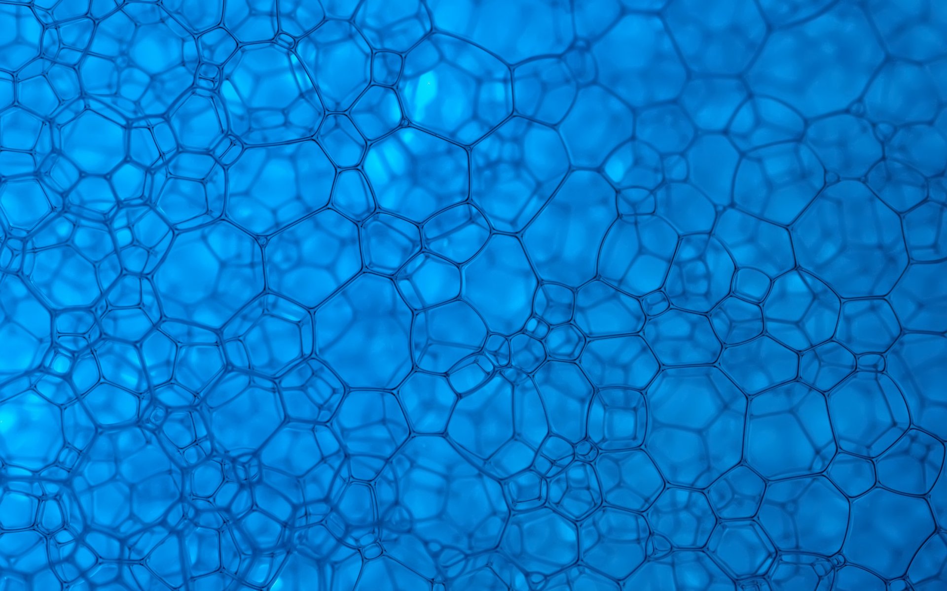 textures blue cell ring