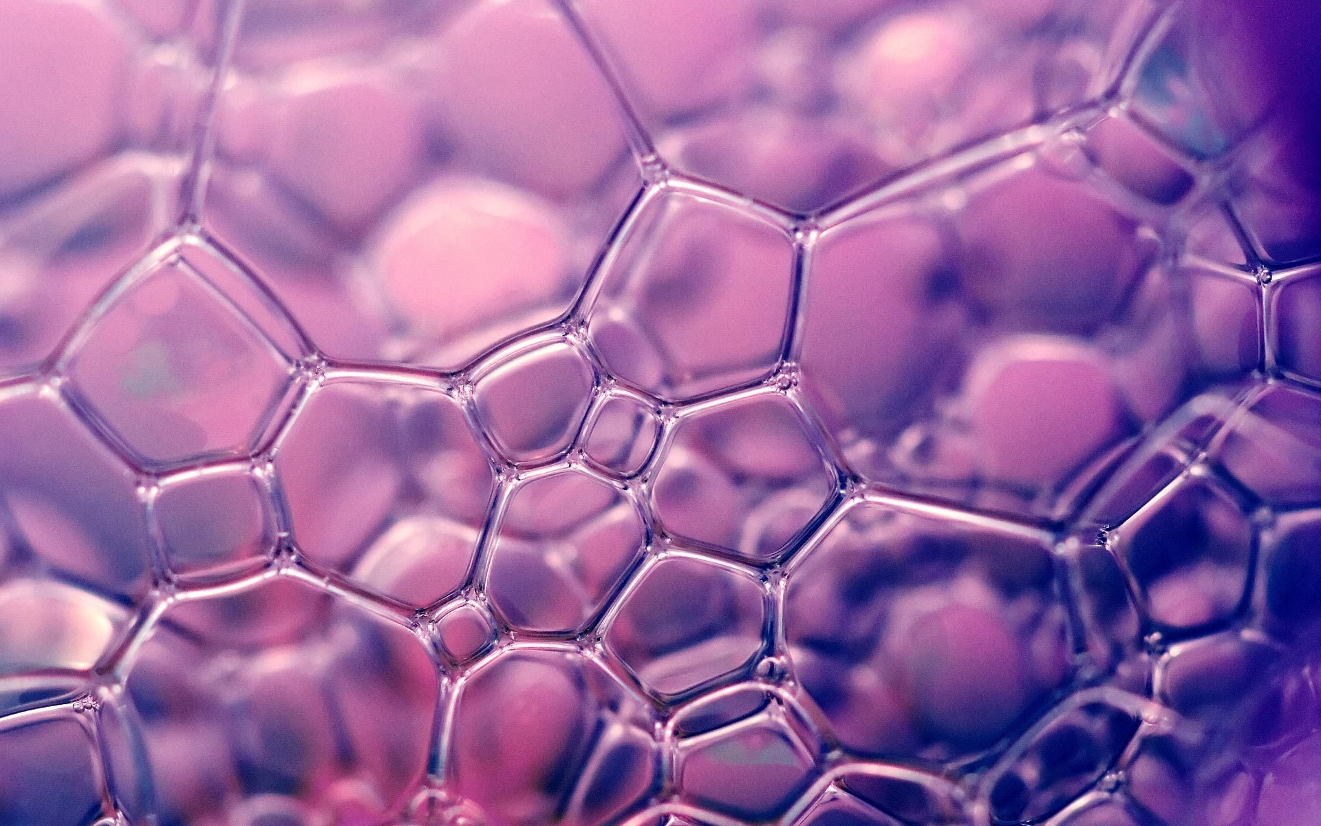bulles de savon mauve papier peint