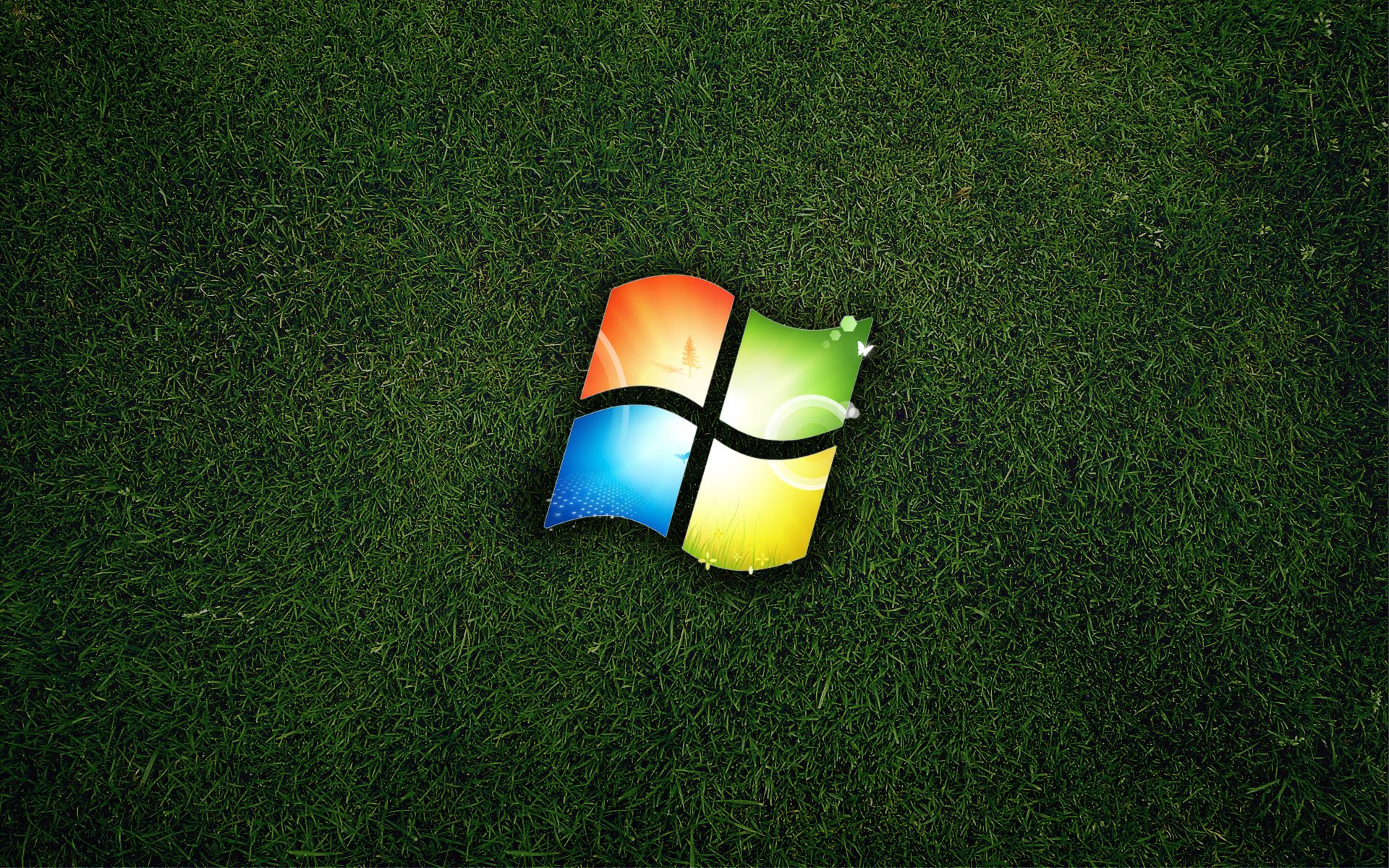 gras logo fenster
