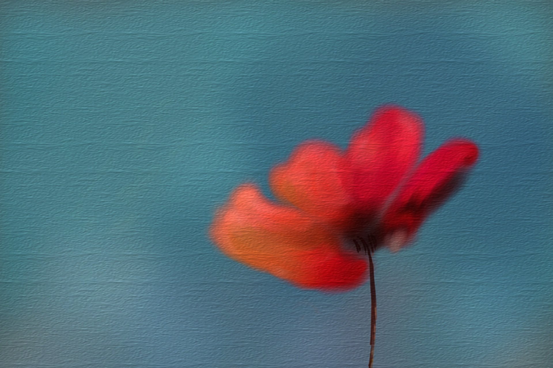 fleur fond texture