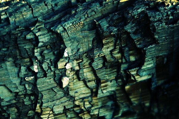 Baumrinde Textur