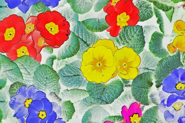 Patrón de textura de flores multicolores