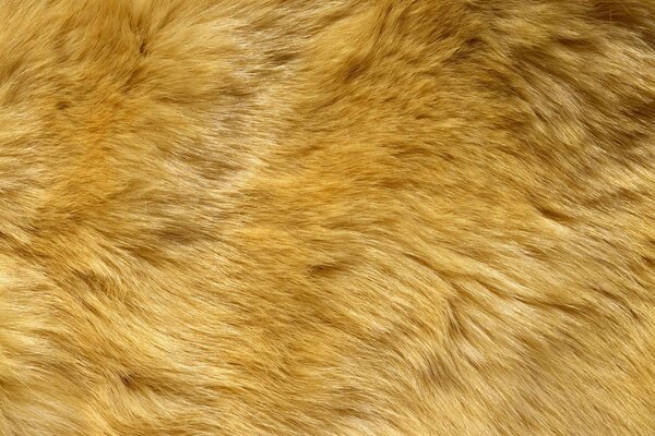 Wallpaper for the table in the form of animal fur