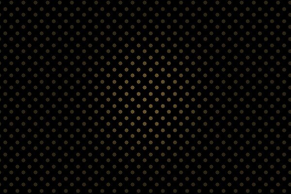 Small daisies on a black background