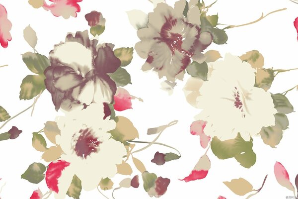 Colores de flores sobre fondo blanco