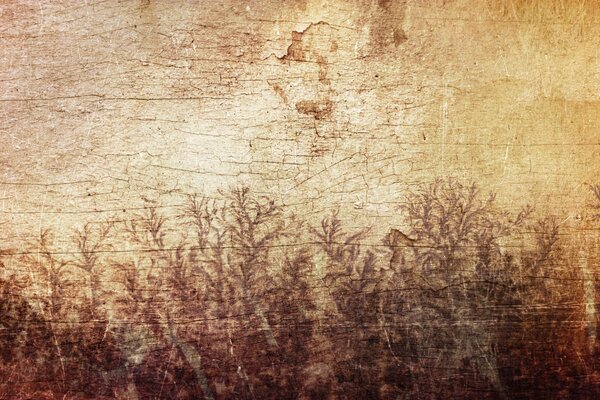 Motif sur arbre plantes feuilles
