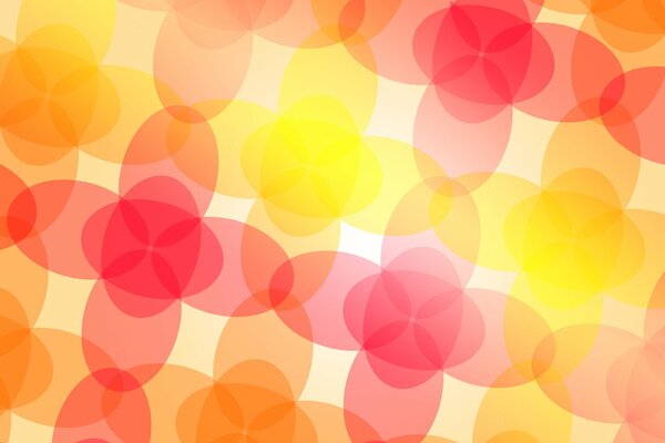 Bright flowers, bright colors