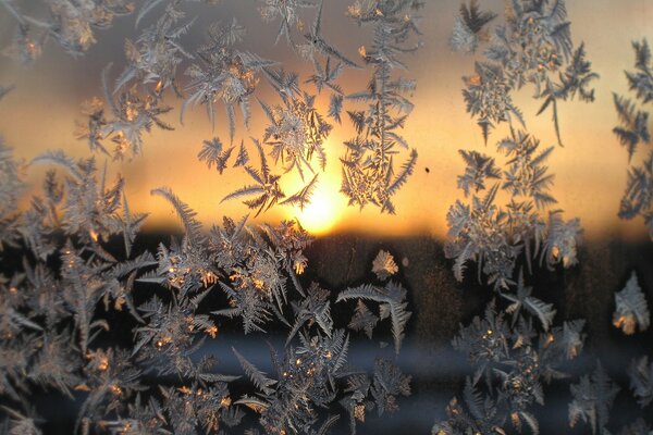 Romantischer Sonnenuntergang hinter Glas mit Frostmuster