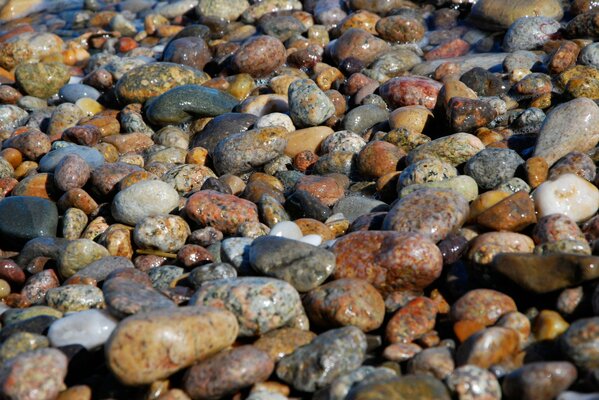 Leicht mit Wasser angefeuchtete Steine