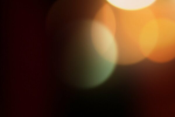Foto per desktop bokeh