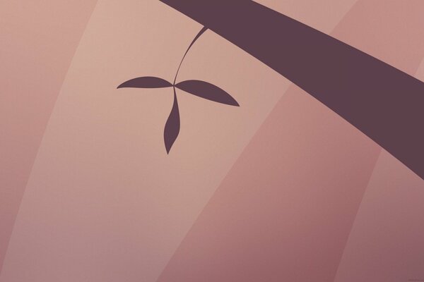 Feuille sur un arbre sur un fond rose