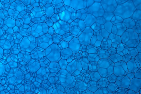 Texture cells on a blue background