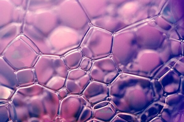 Bulles de savon sur fond violet