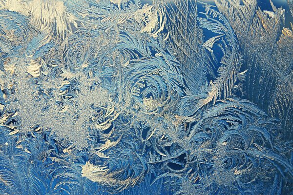 Macro shooting. Frosty patterns. Curlicues