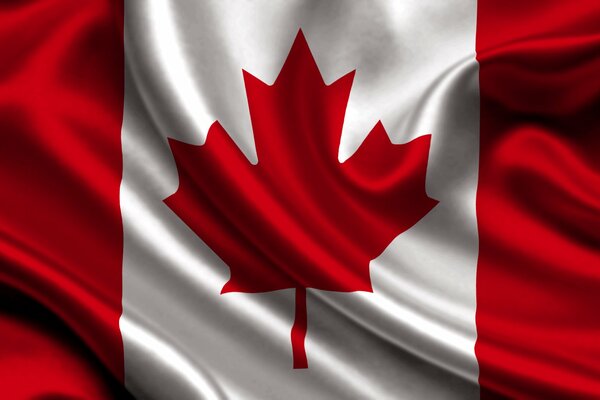 Bandera de Canadá hoja de arce rojo