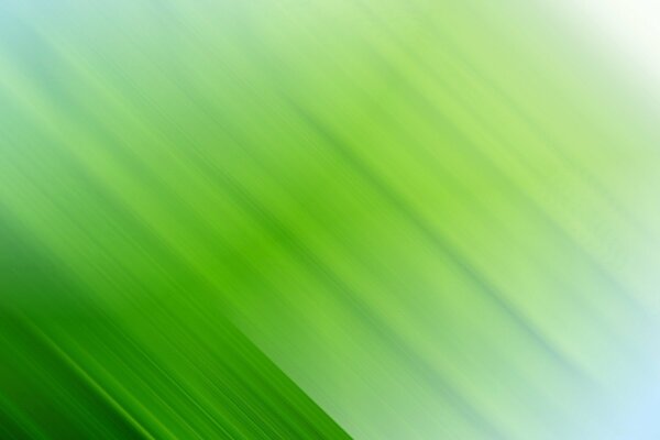 Background in the form of a green gradient