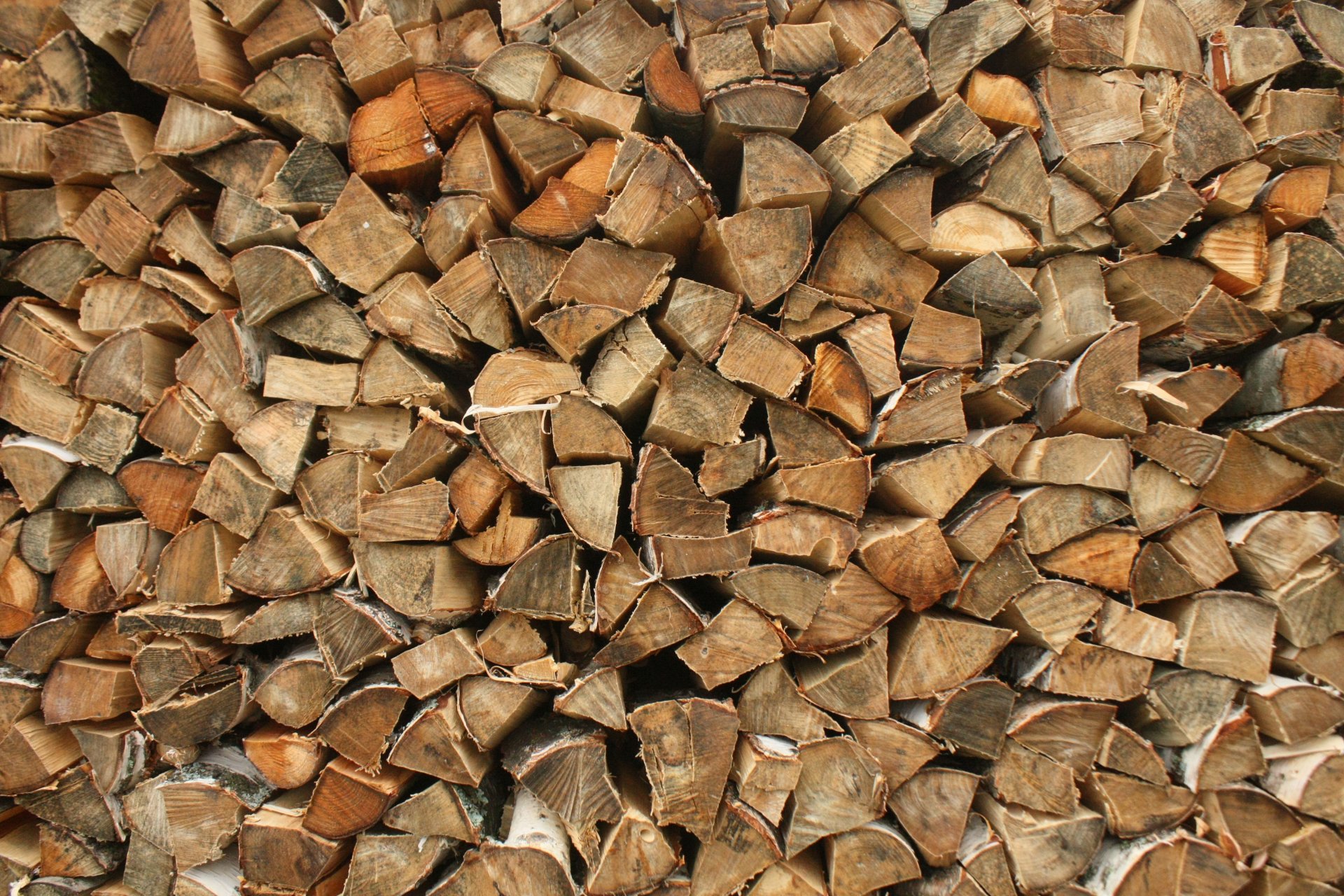 brennholz holz