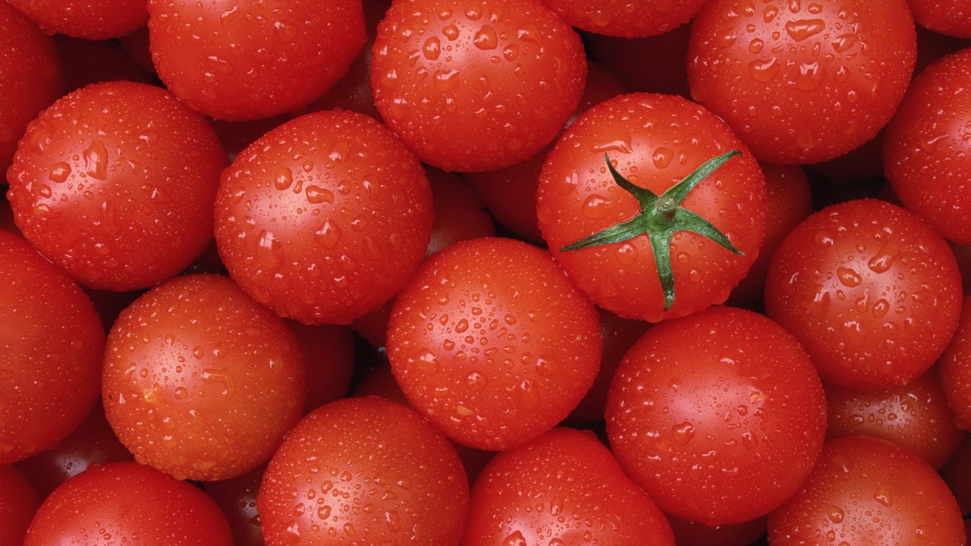 food tomatoes tomatoes red clean deliciou